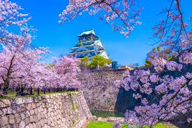 <span>Day 9</span>Full day Osaka sightseeing