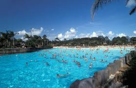 <span> Day 4</span>Mabula - Game Drive