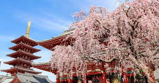 <span>Day 8</span>Tokyo Sightseeing Tour