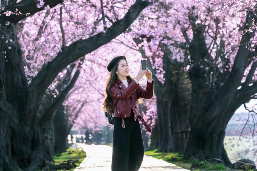 young woman walking in cherry blossom garden on a spring day. ro