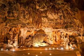 <span>Day 4</span>Garden Route - Full Day Tour to Oudtshroon 