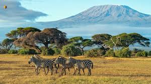 <span>Day 12</span>Nairobi - Masai Mara (Approx 250 kms/5 Hours)